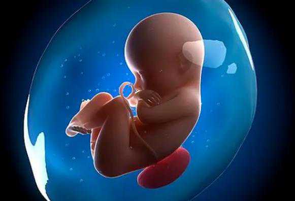 天津代孕可靠性,27岁患卵巢功能早衰,试管婴儿促