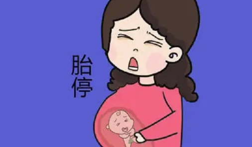 (a)做代孕的过程,2023杭州供